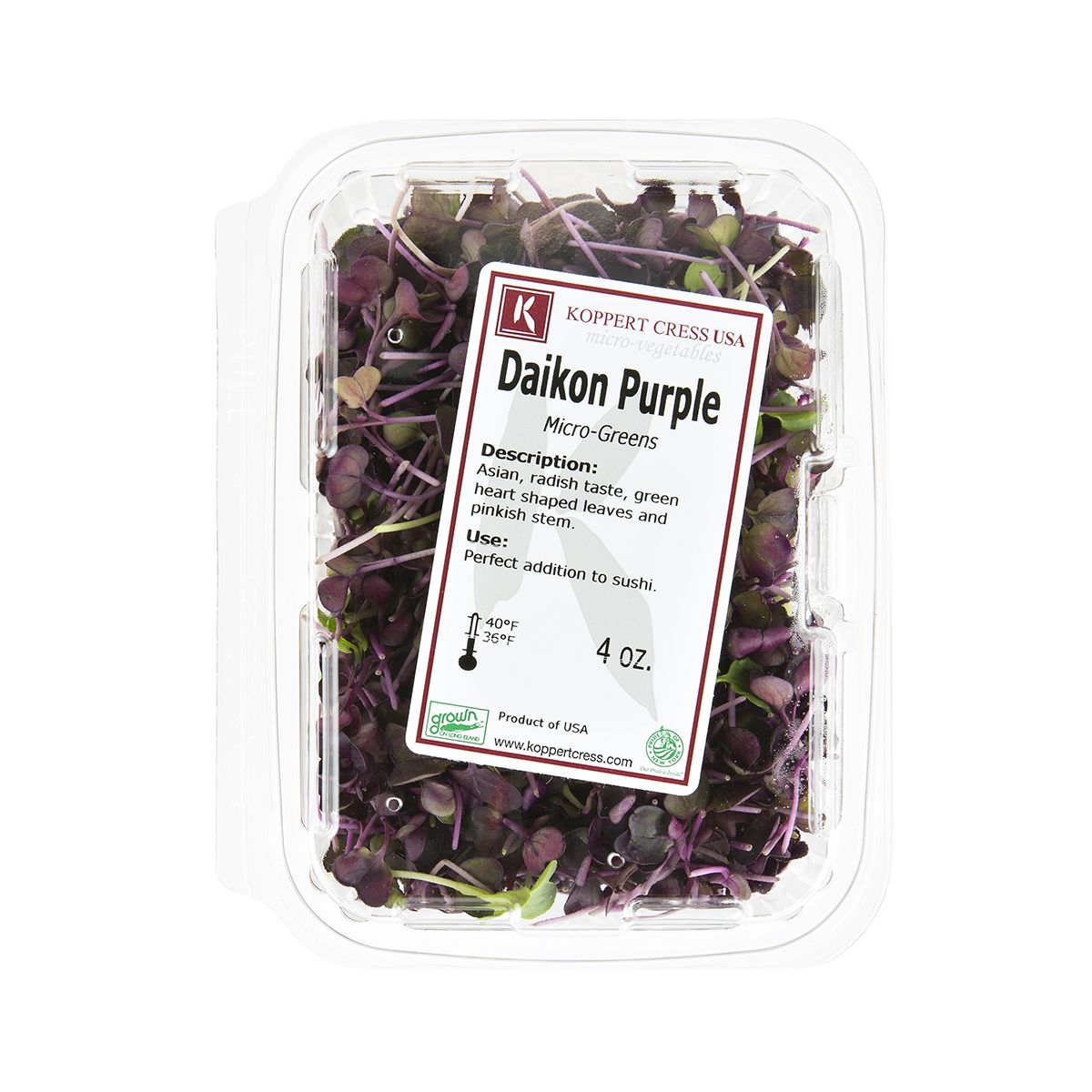Micro Purple Daikon Radish