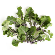 Lollipop Kale Sprouts
