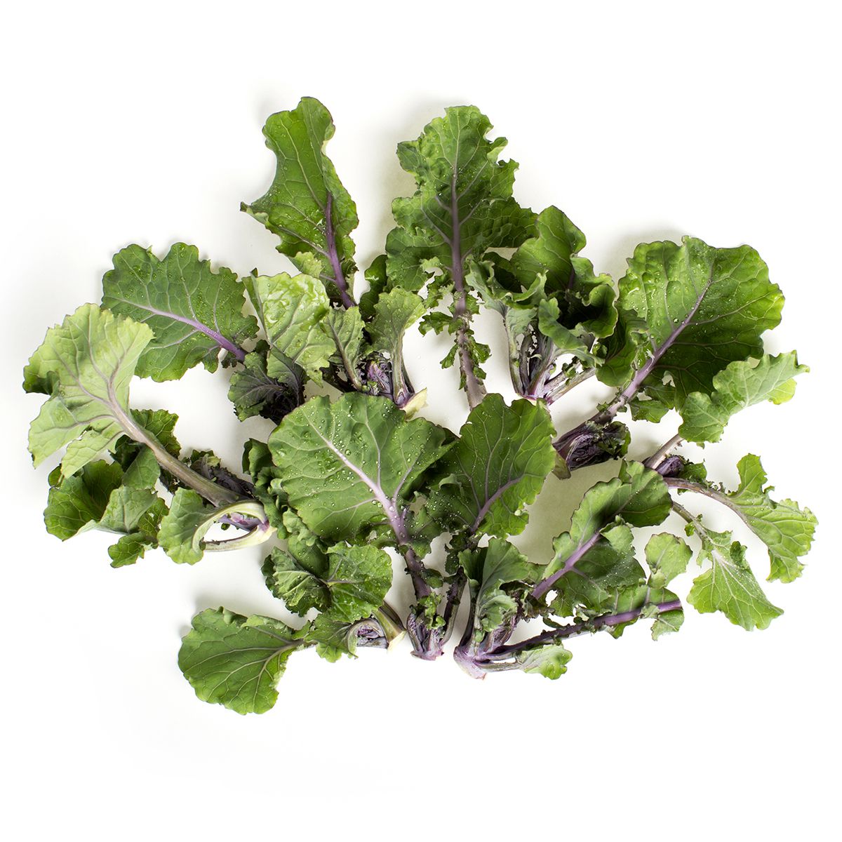 Lollipop Kale Sprouts