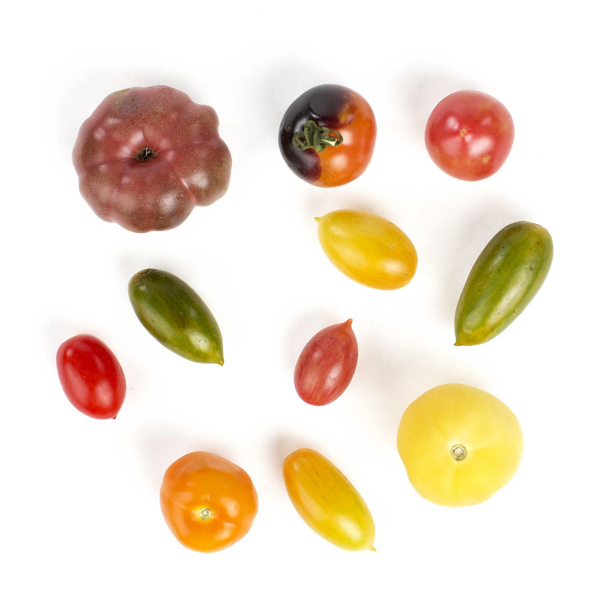 Medium Heirloom Tomatoes