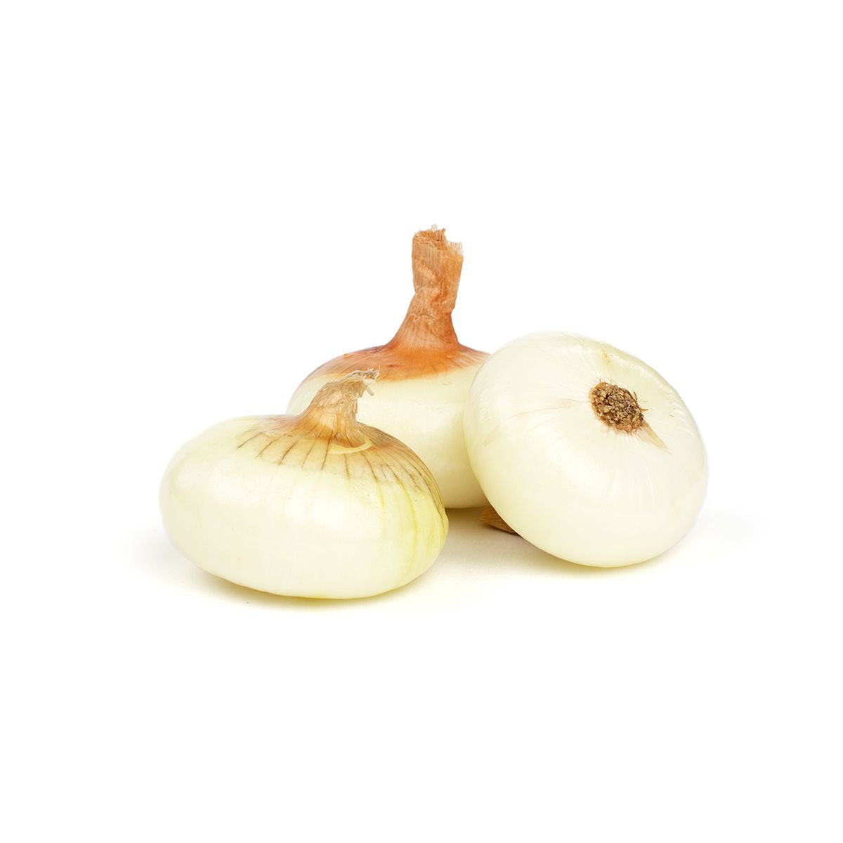 Cipollini Onions