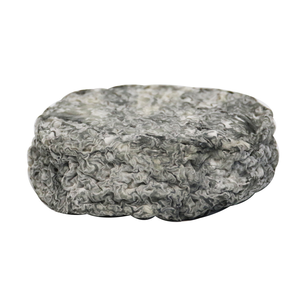 Selles-Sur-Cher Cheese