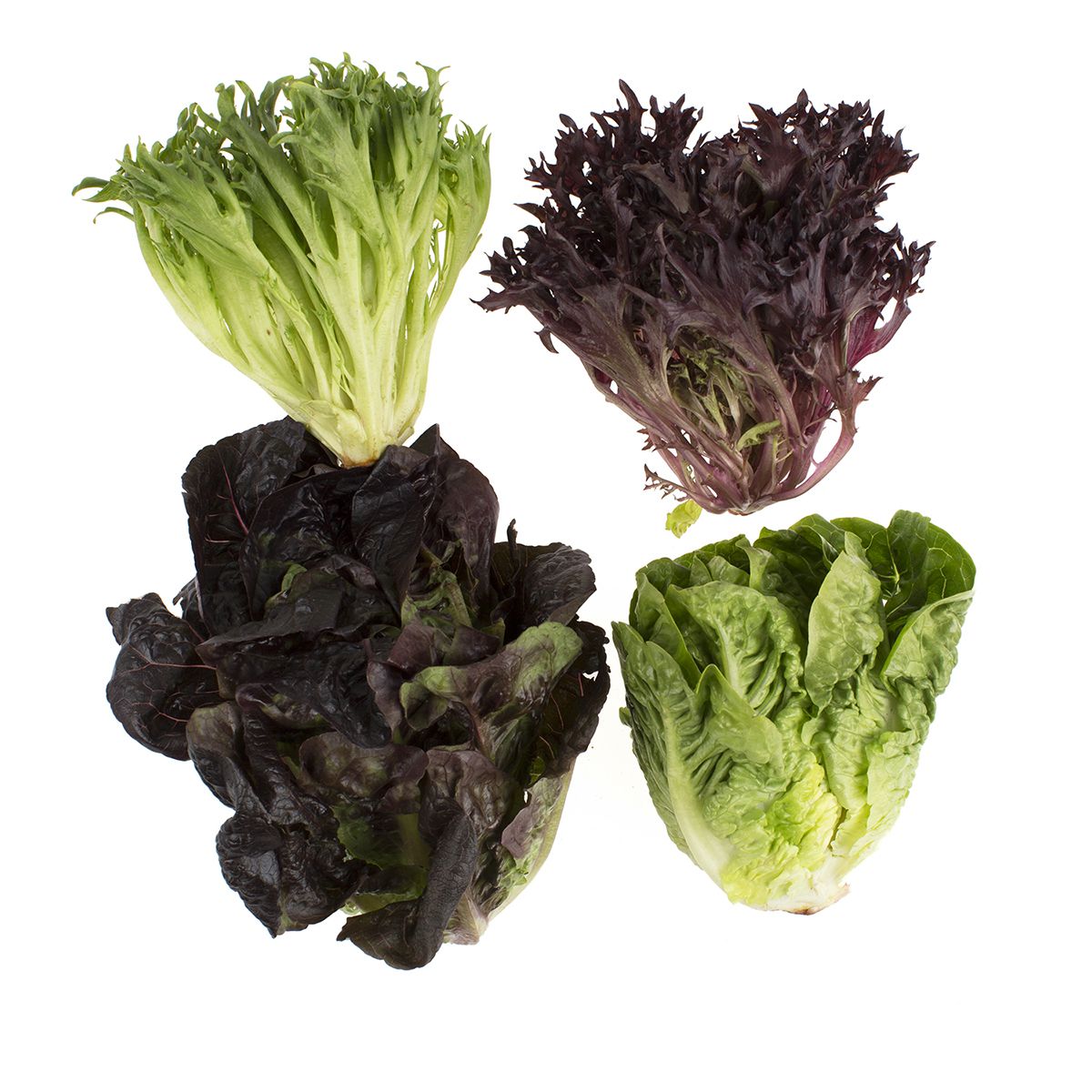 Artisan Mini Head Lettuce