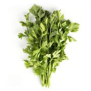 Lovage