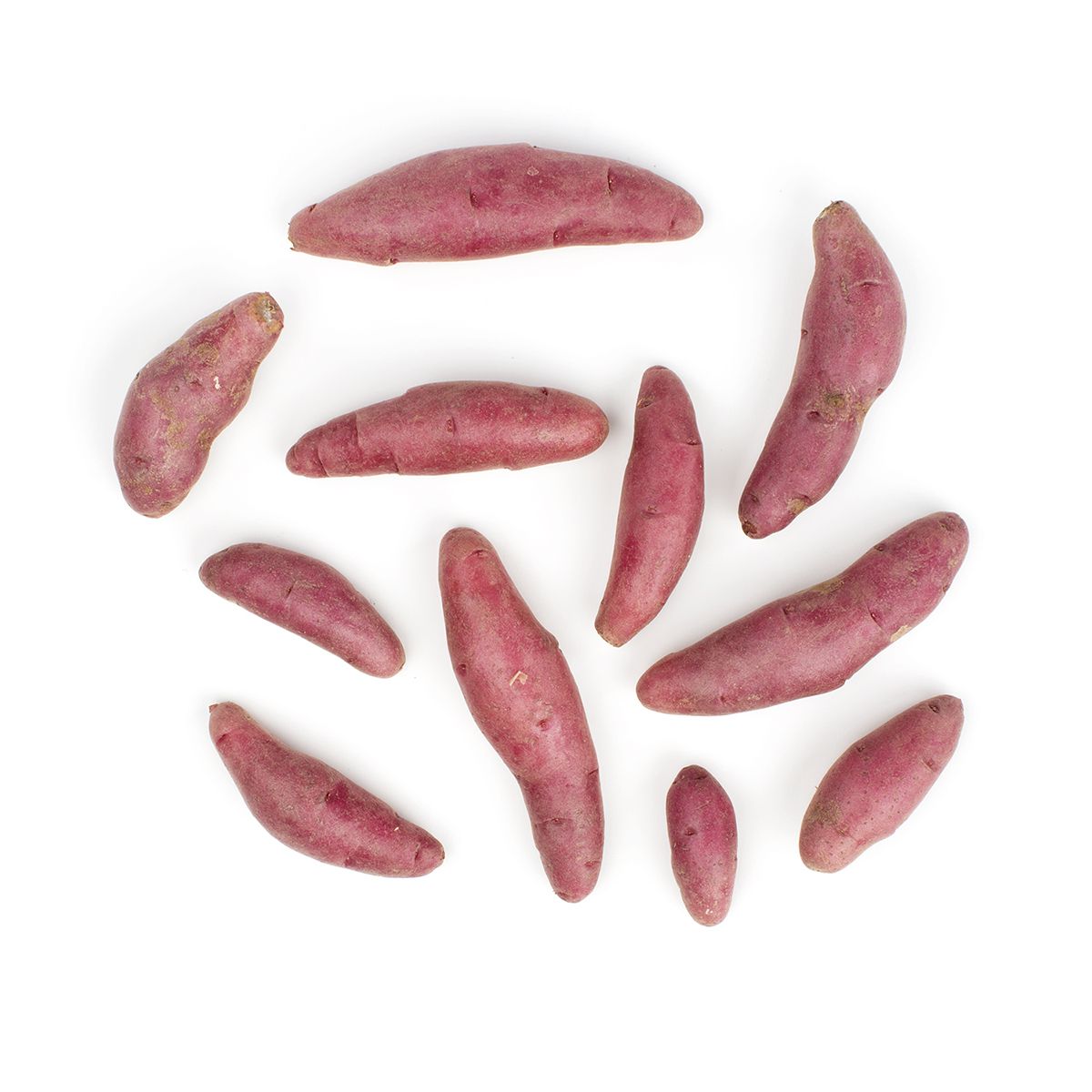 Red Chile Fingerling Potato