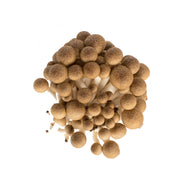Brown Hon Shimeji Mushrooms