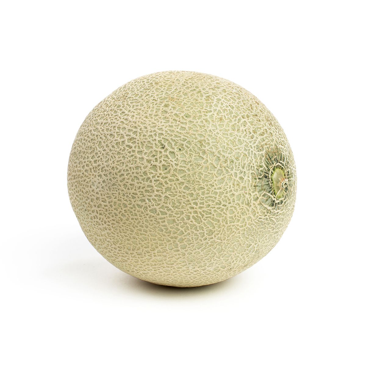 Cantaloupe Melons