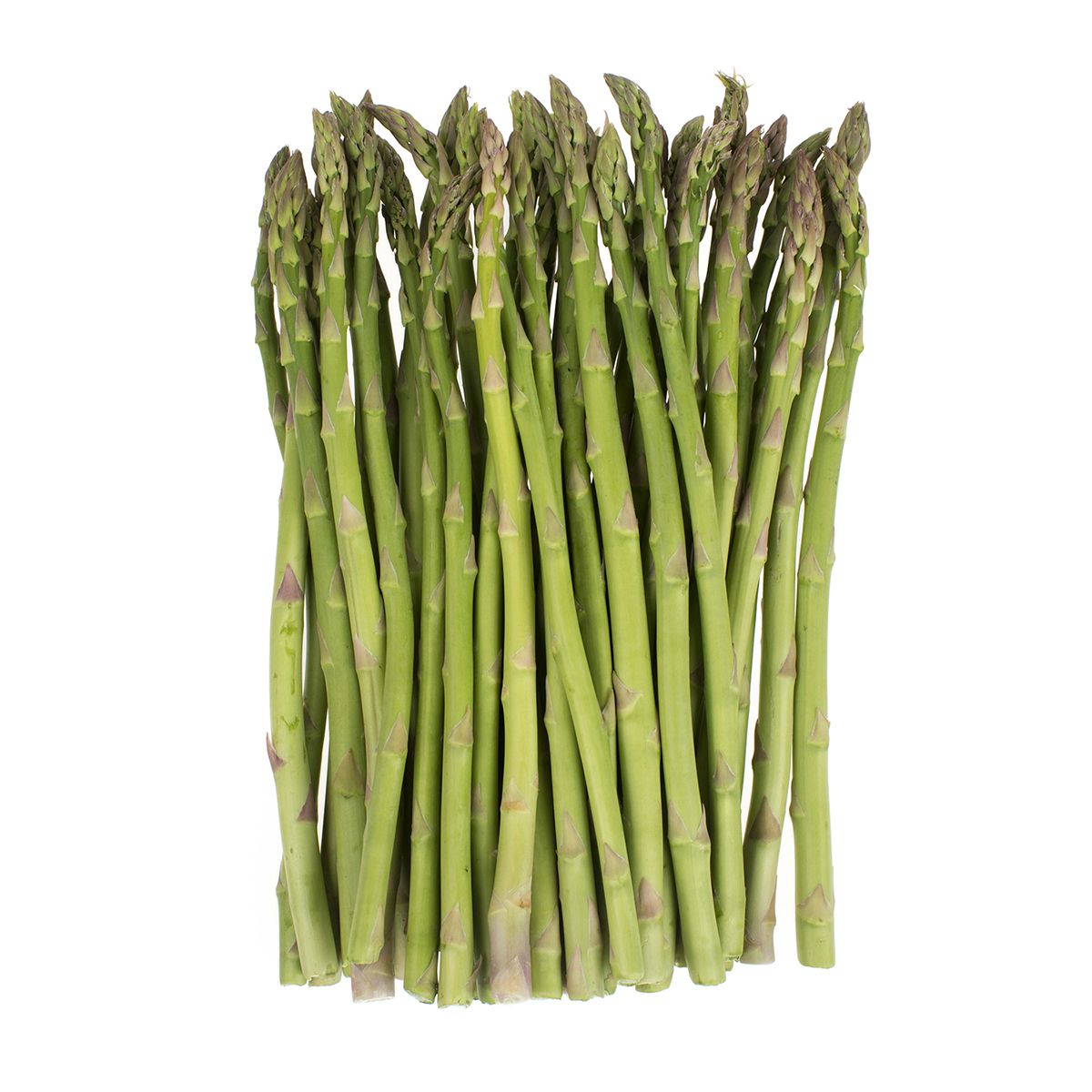 Standard Asparagus