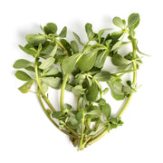 Purslane