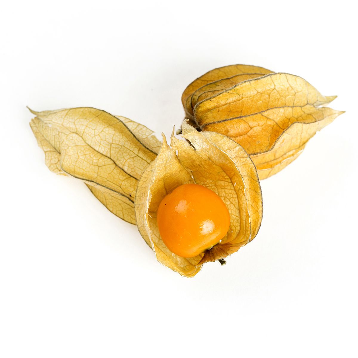 Cape Gooseberries