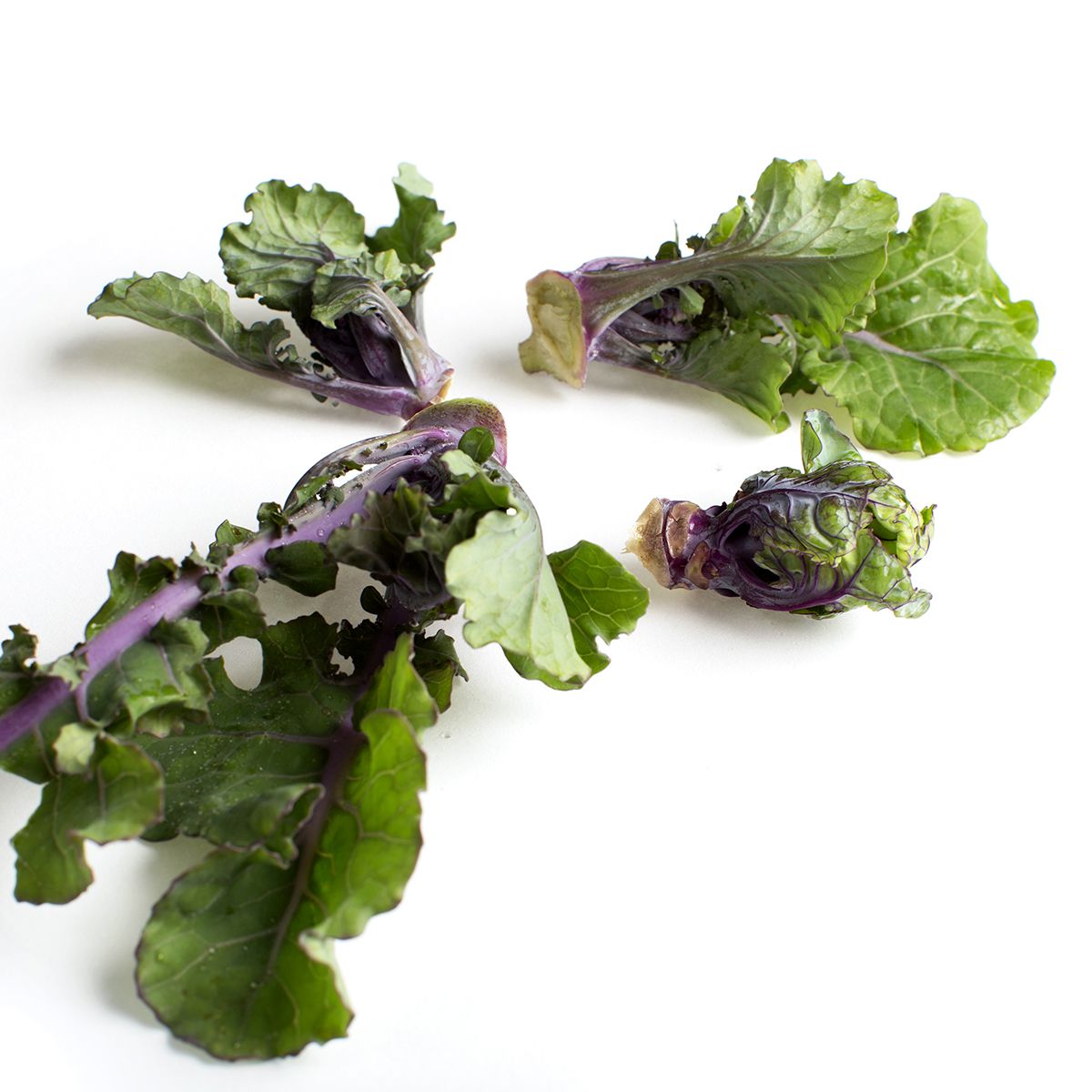 Lollipop Kale Sprouts
