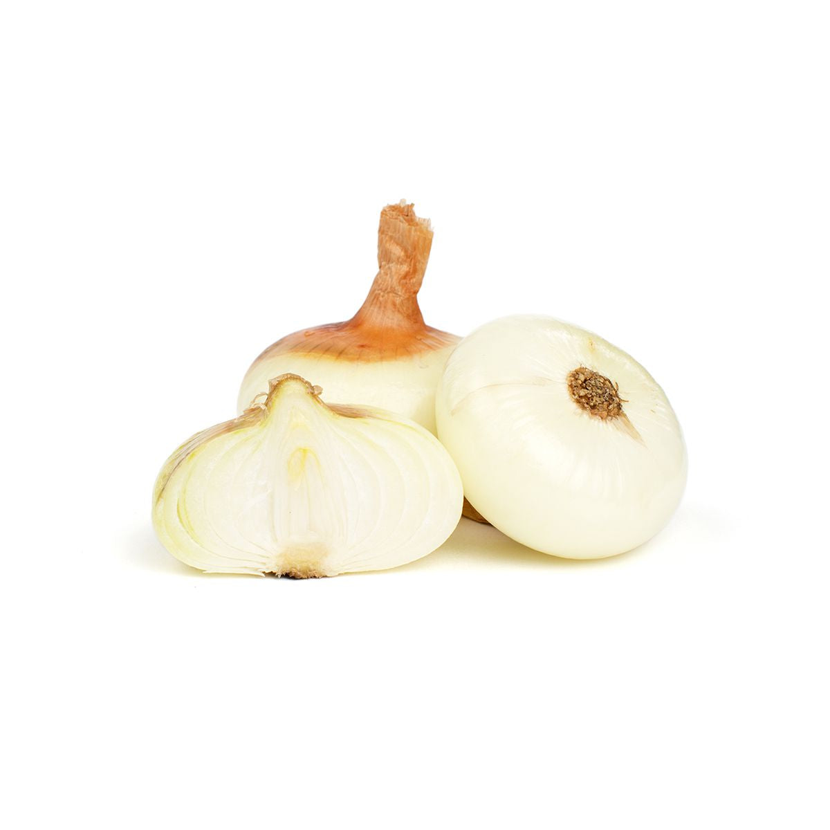 Cipollini Onions