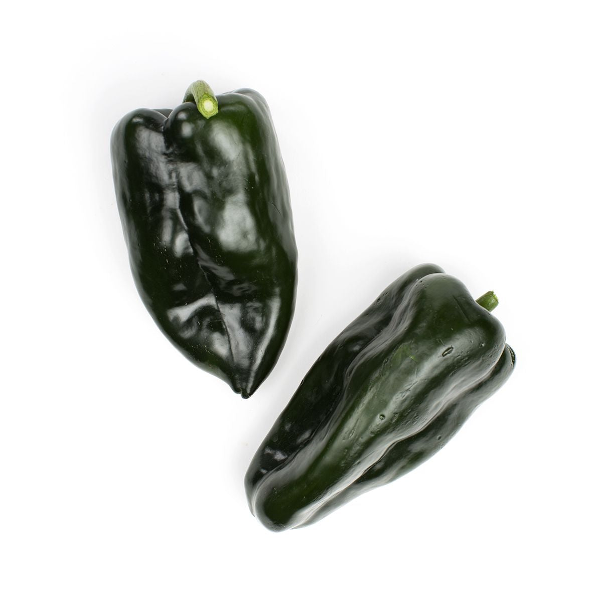 Master Poblano/Passilla Peppers