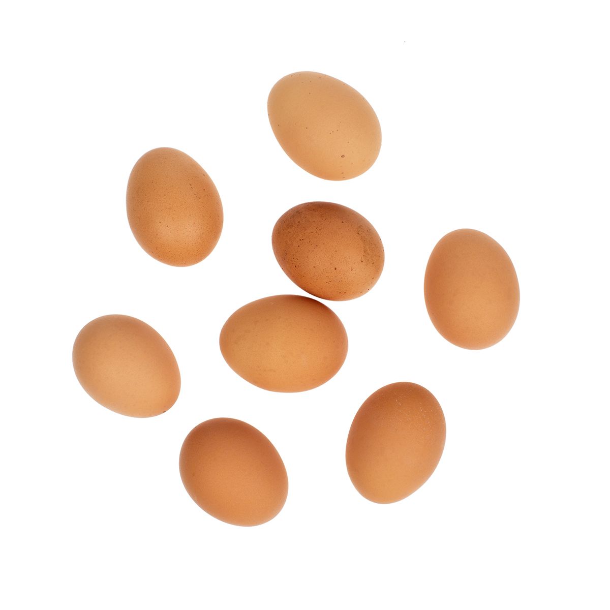 Organic Cage Free Large Brown Shell Eggs Carton