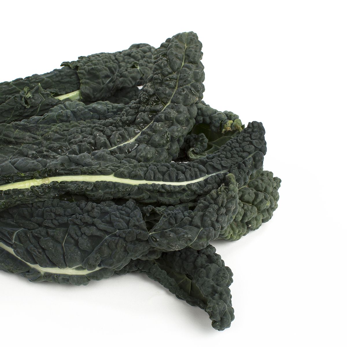 Lacinato Kale