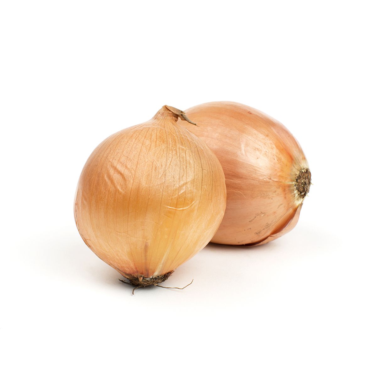 Spanish Onions