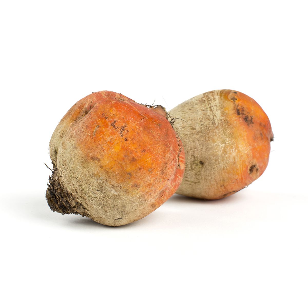 Large Golden Beets