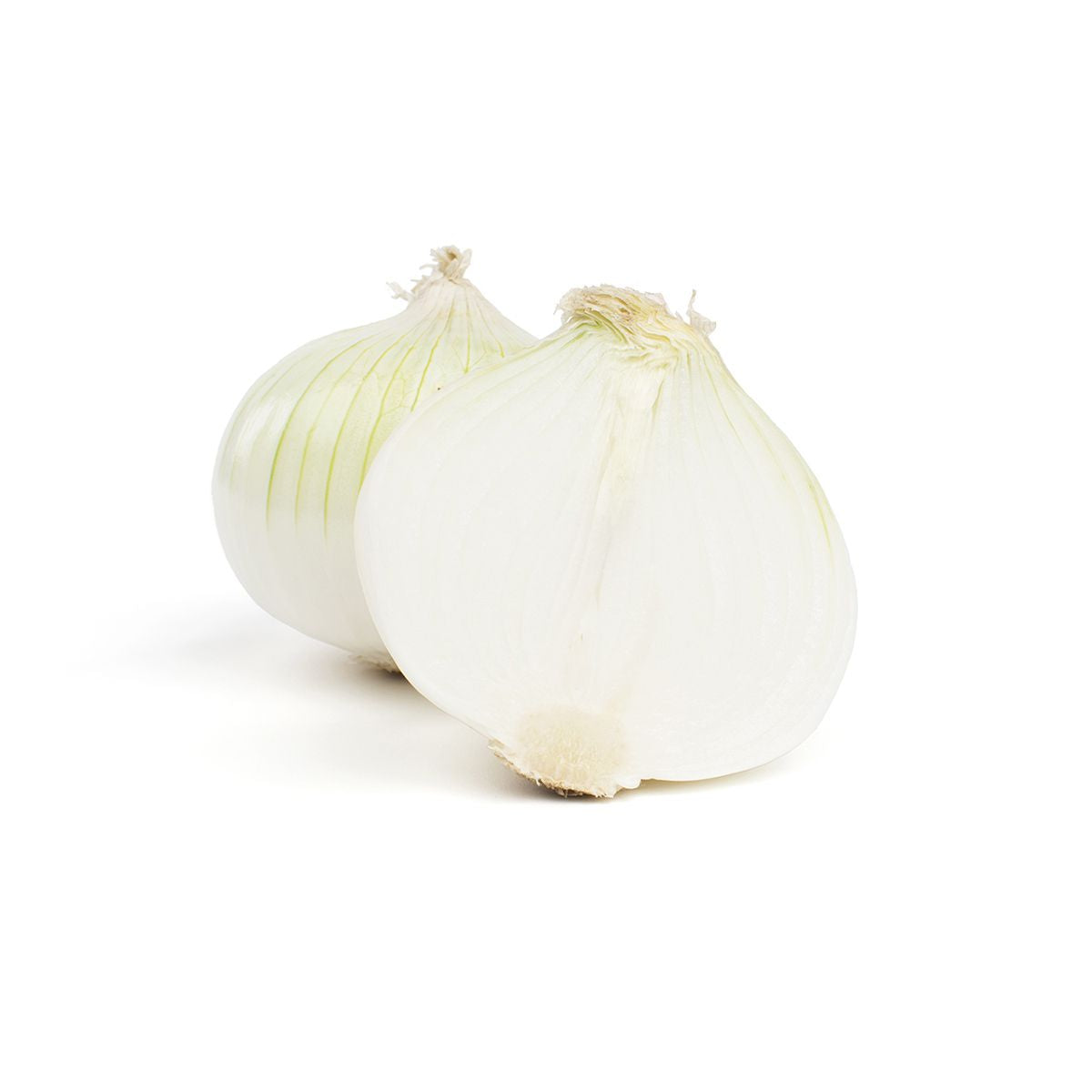Jumbo White Onions