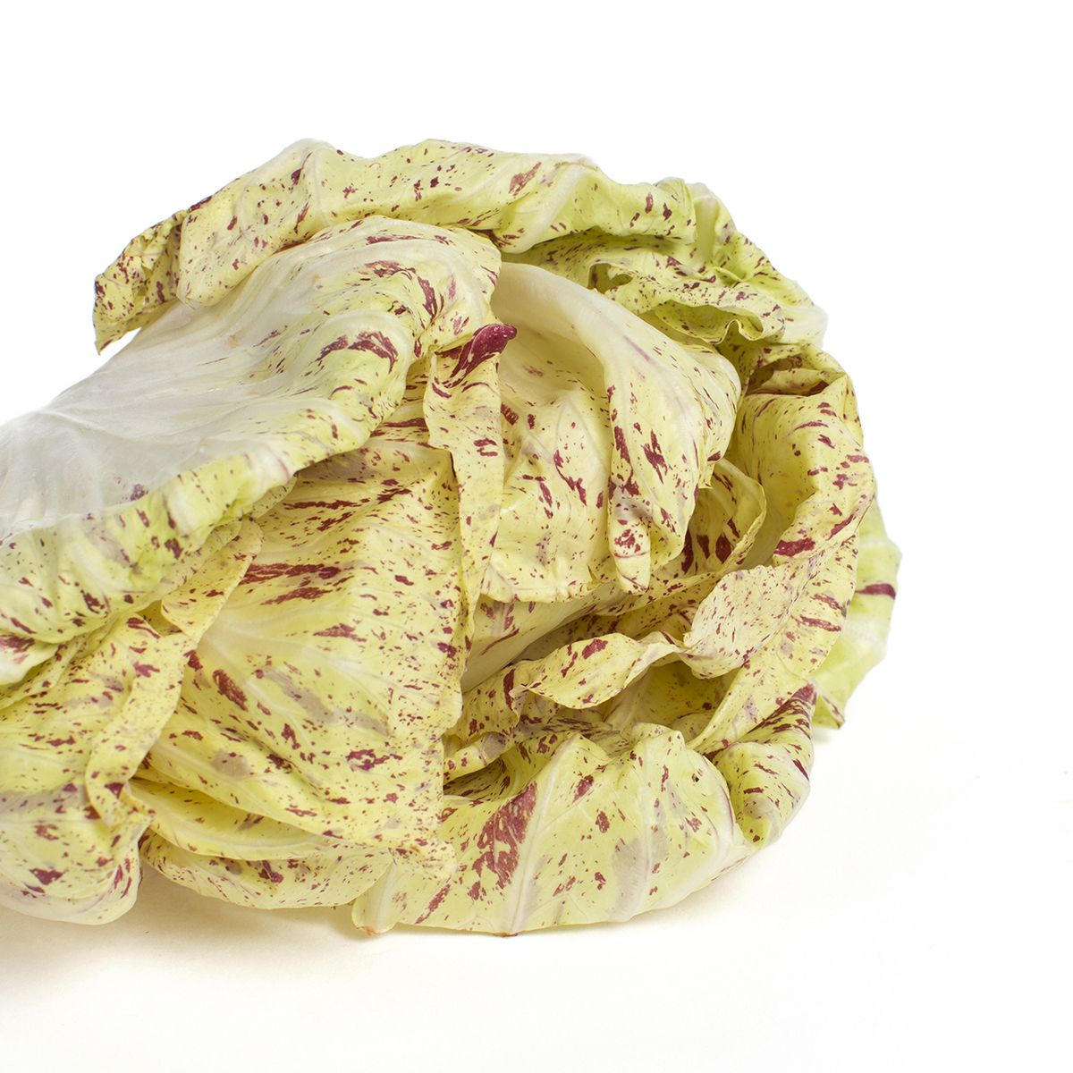California Castelfranco Radicchio