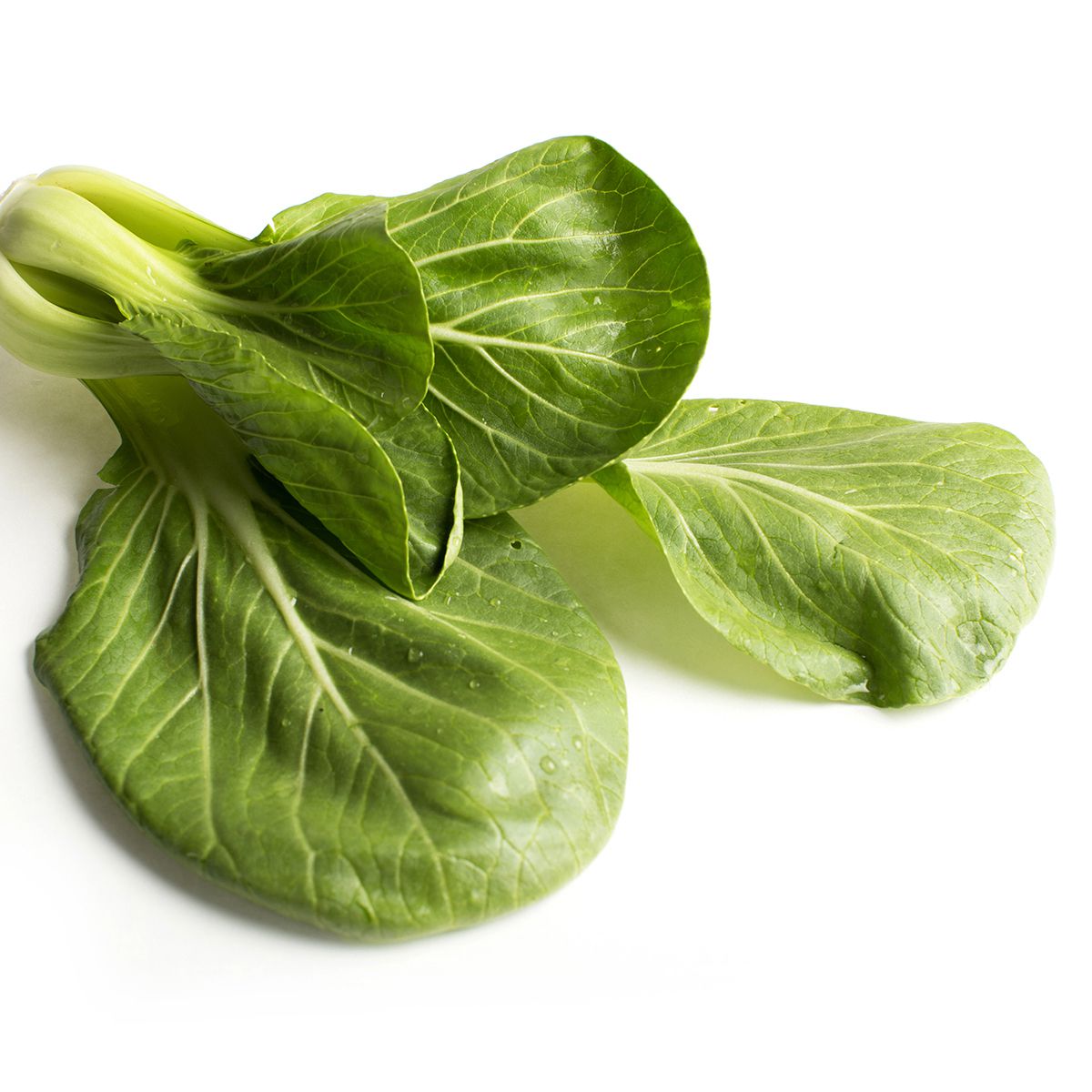 Baby Bok Choy