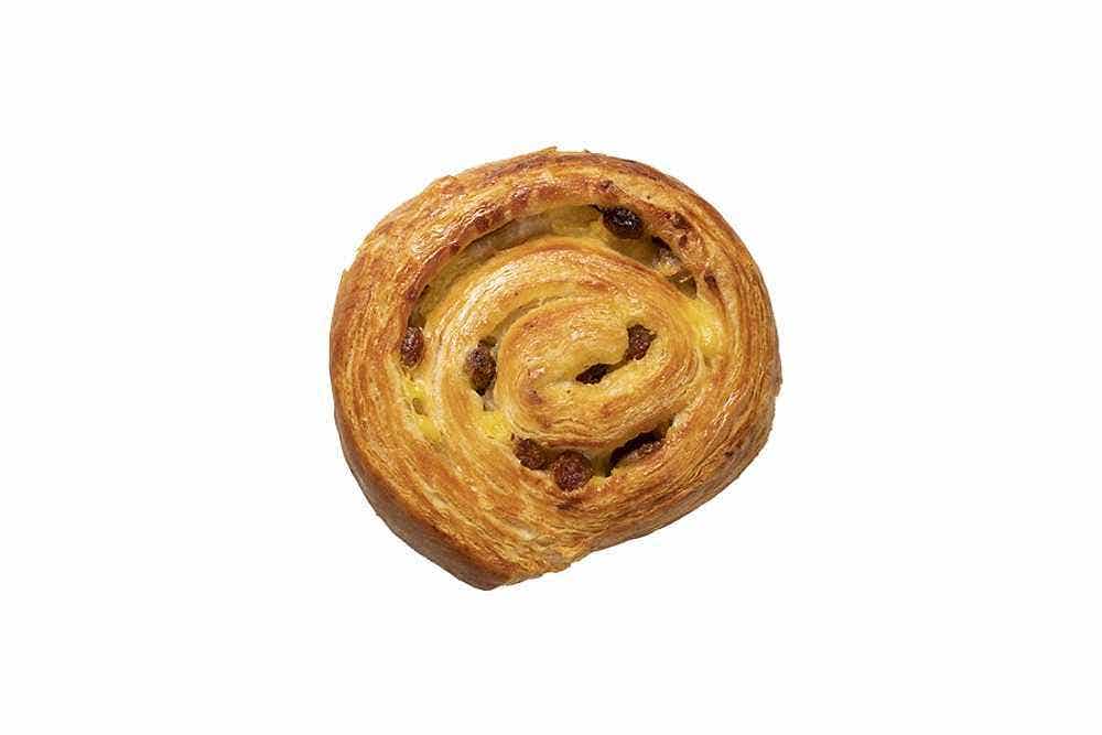 Raisin Swirl RTB Large