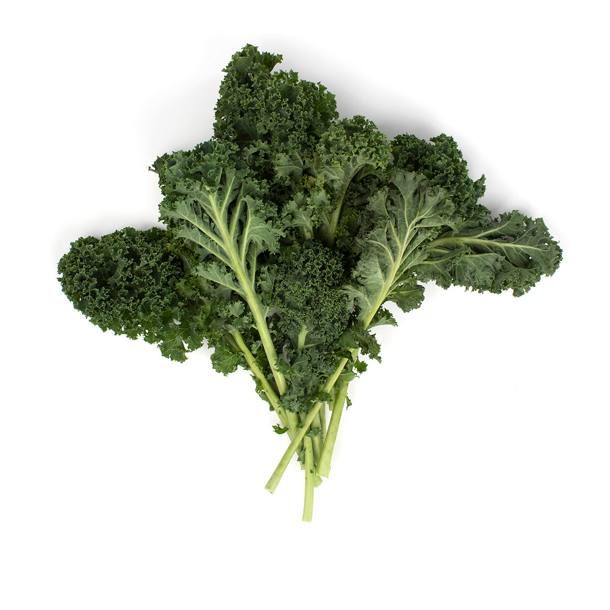 Green Kale