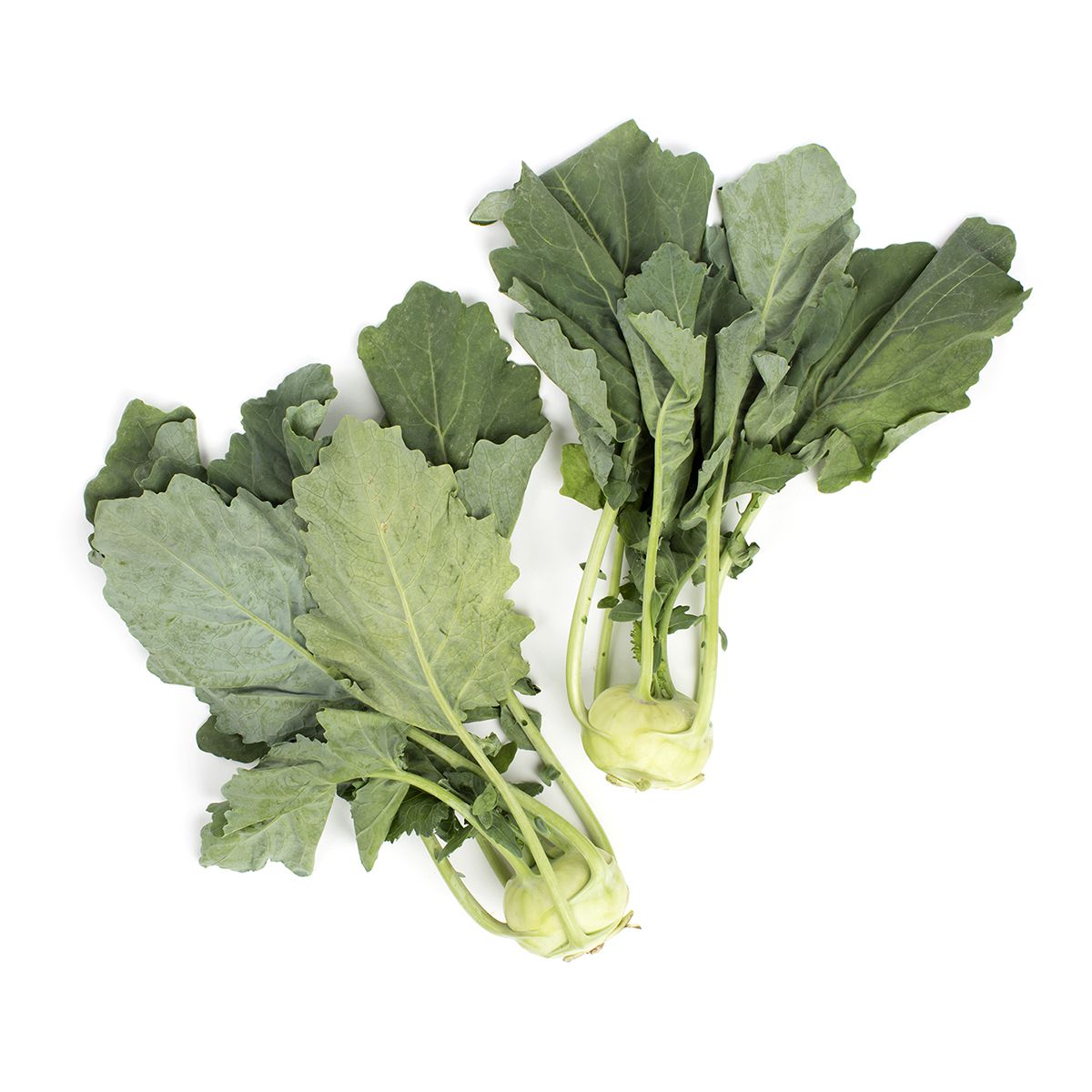 Kohlrabi