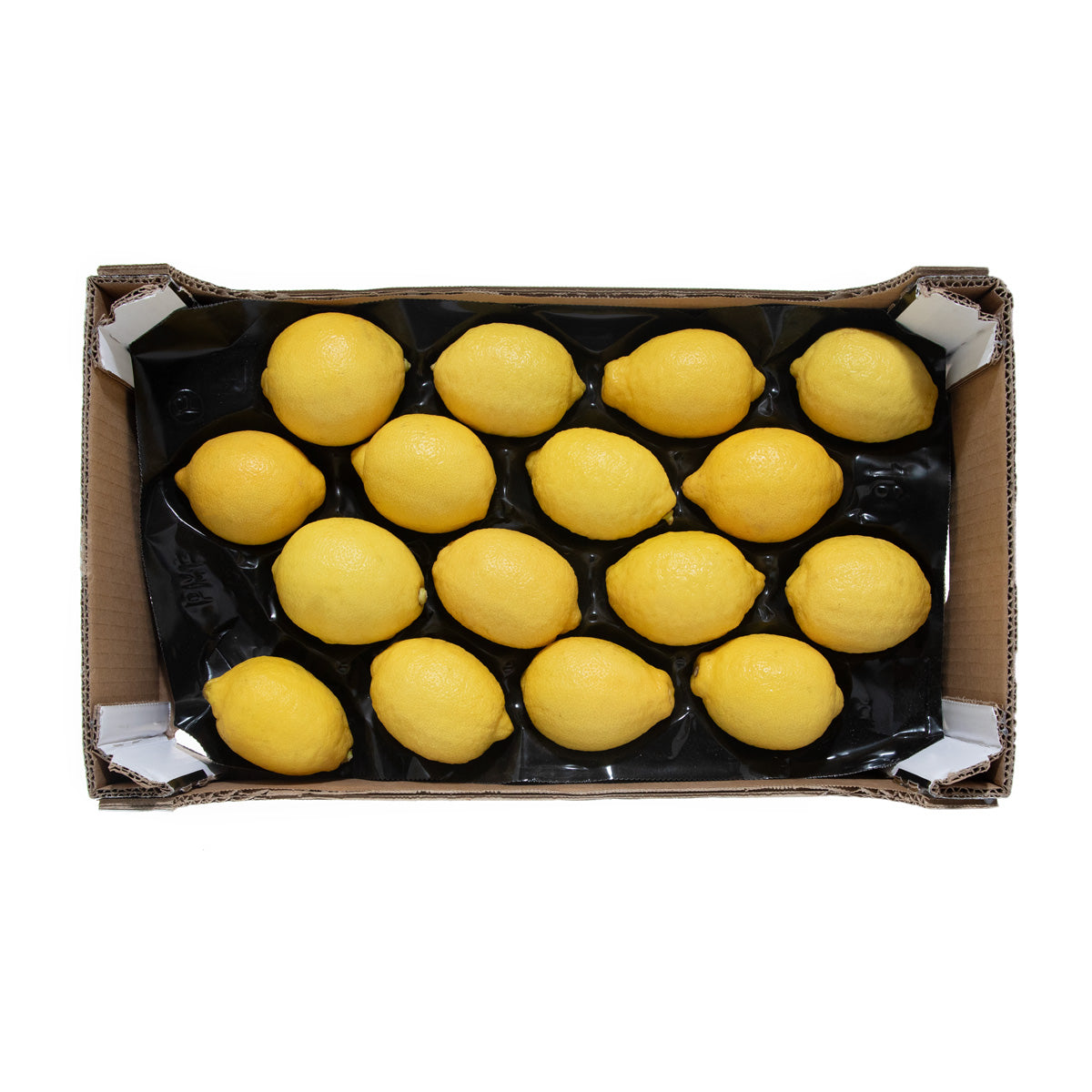 Italian Sorrento Lemons