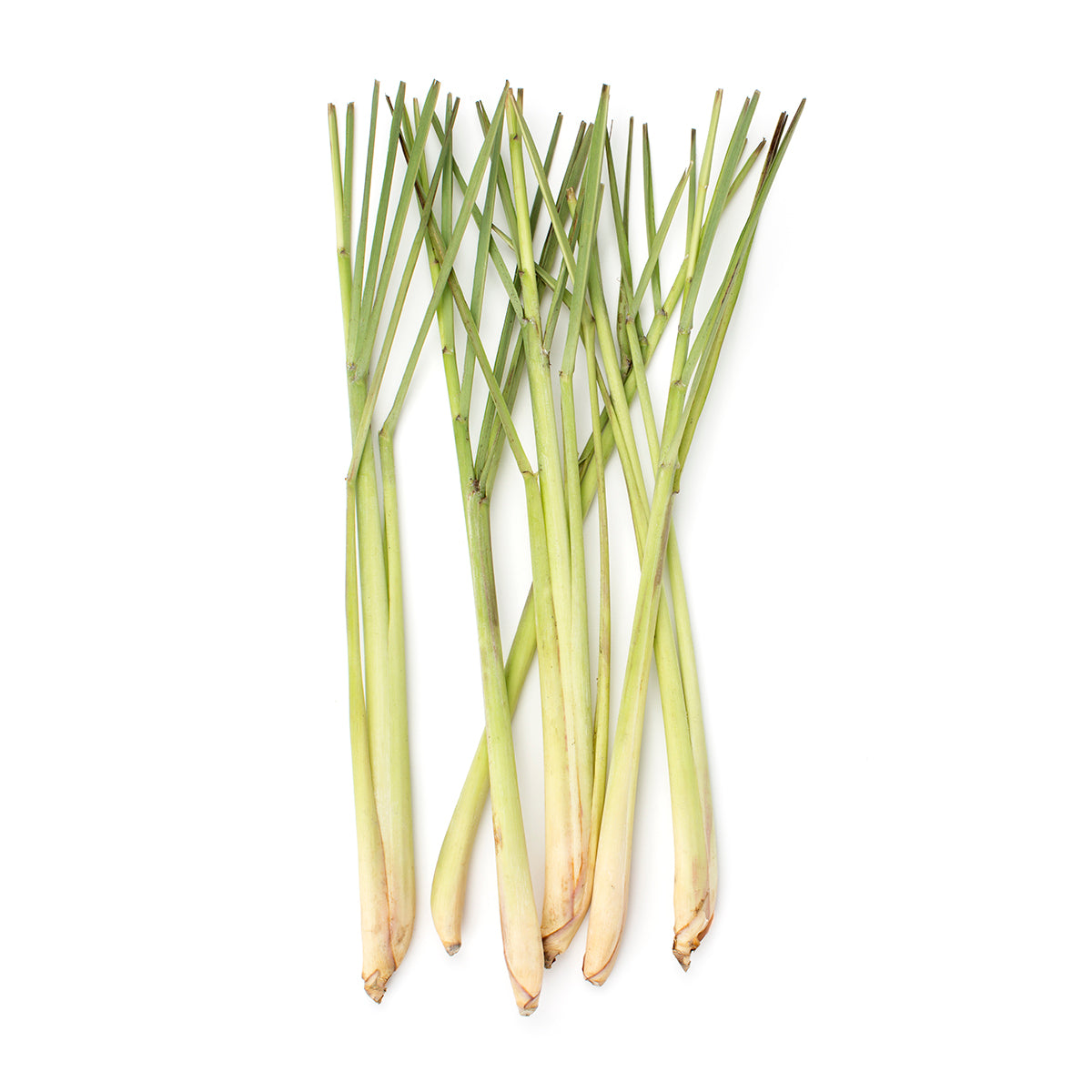 Organic Lemongrass