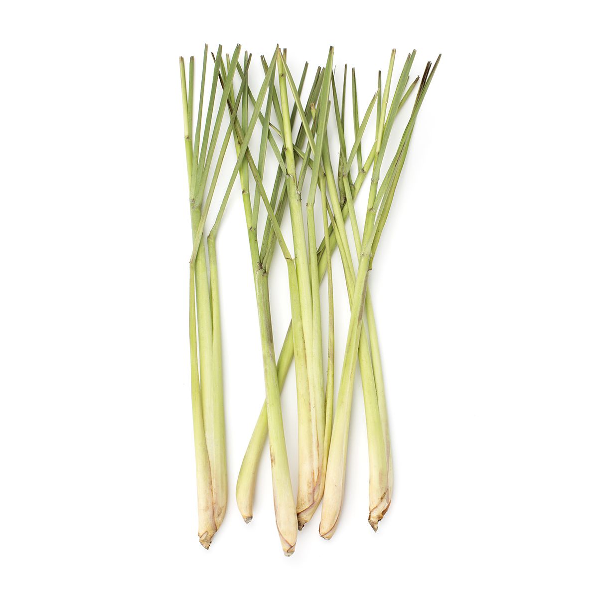 Lemongrass