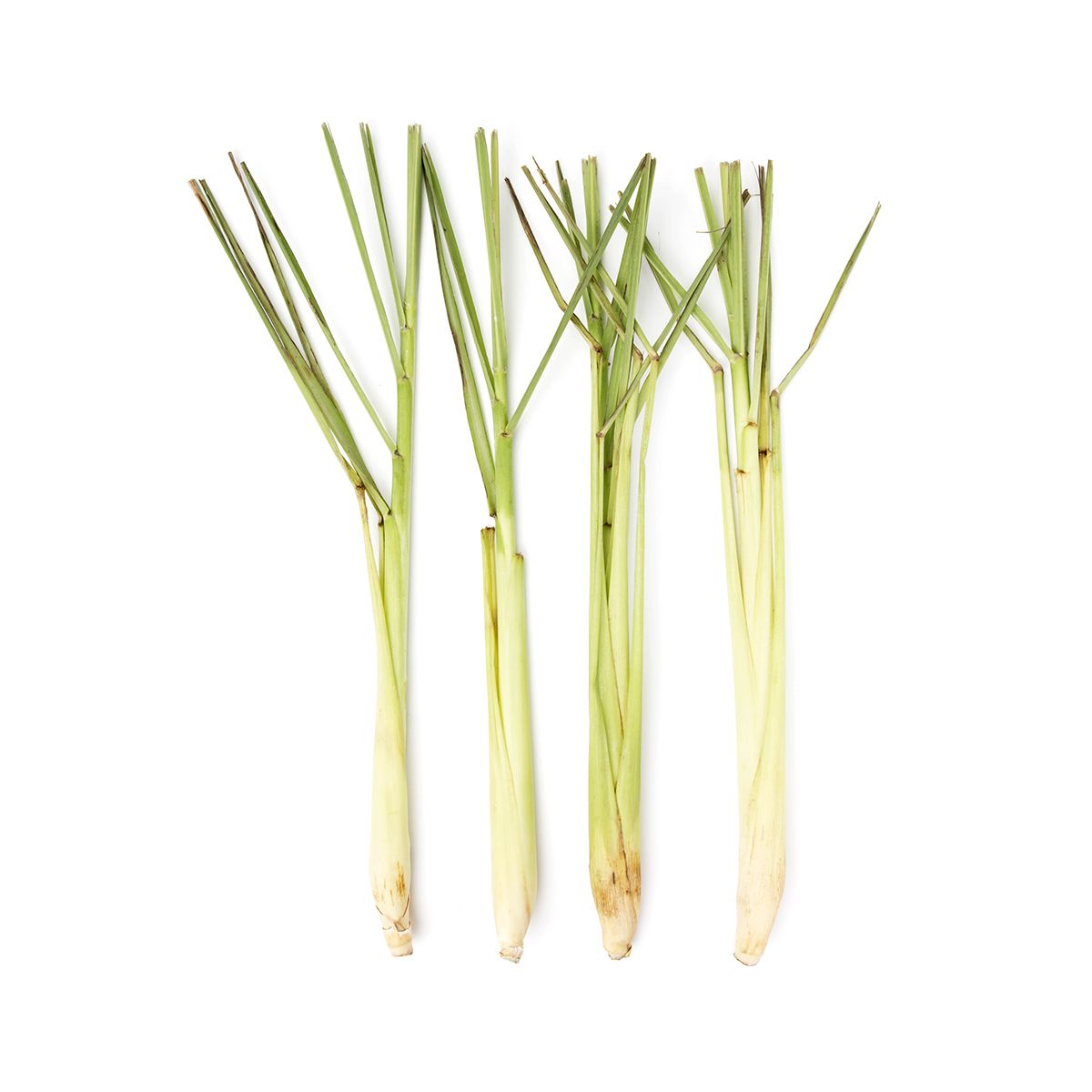 Lemongrass