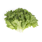 Local Green Leaf Lettuce
