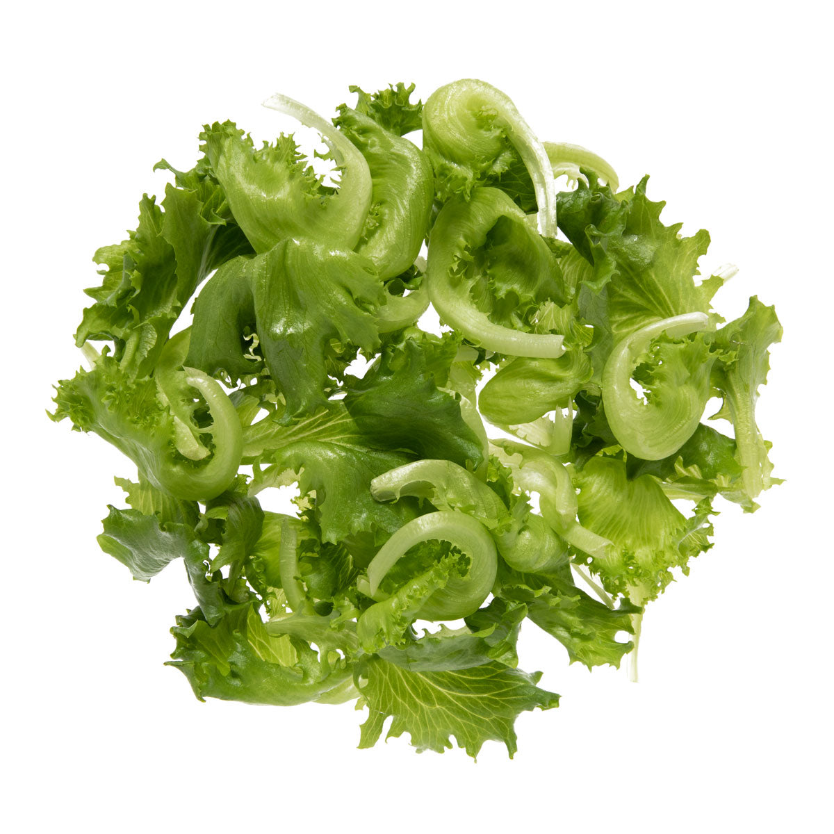 Baby Green Lettuce Mix