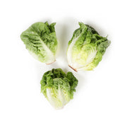 Honey Little Gem Lettuce