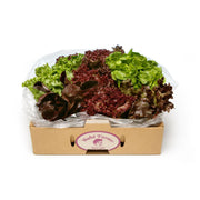 Baby Lettuce Mix