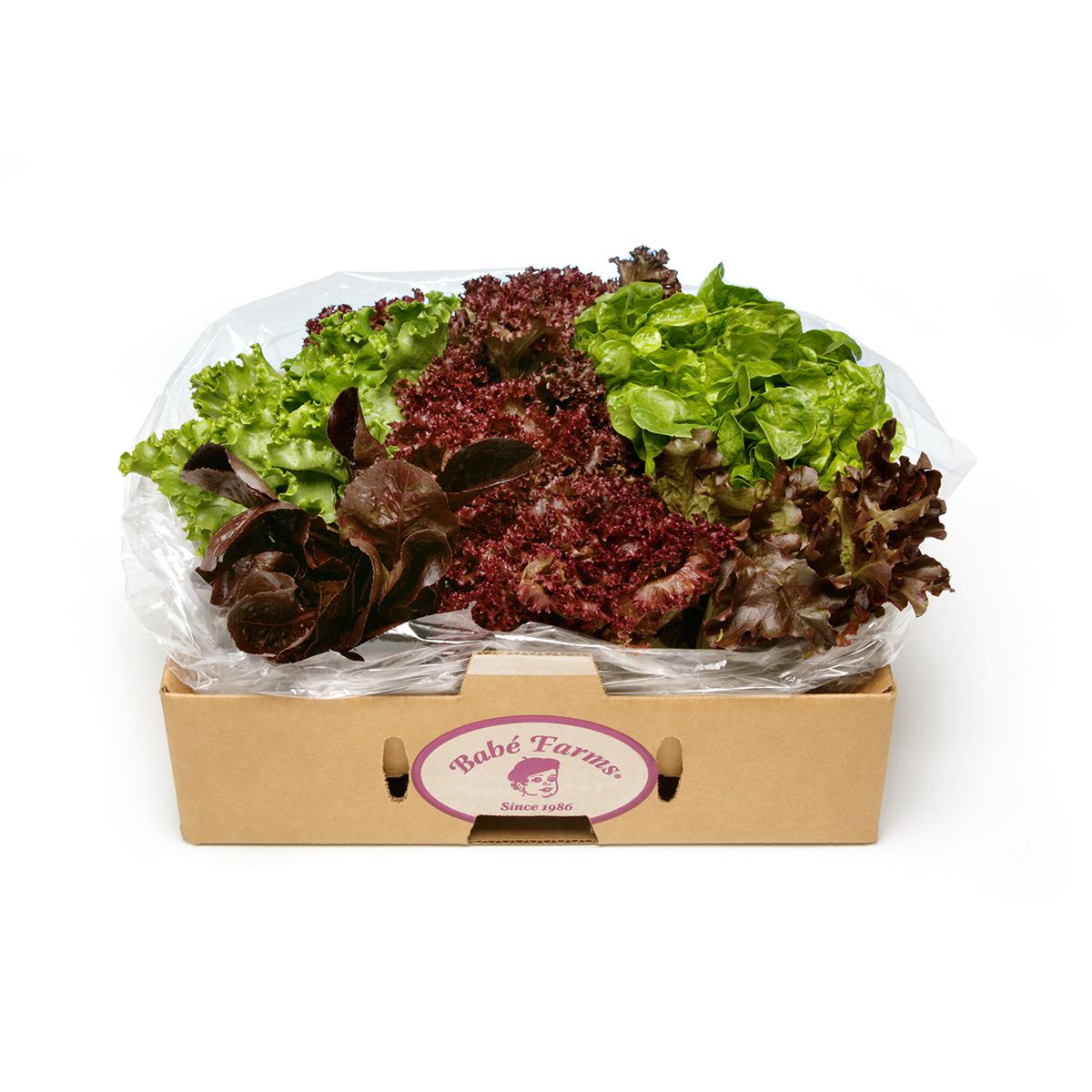Baby Lettuce Mix