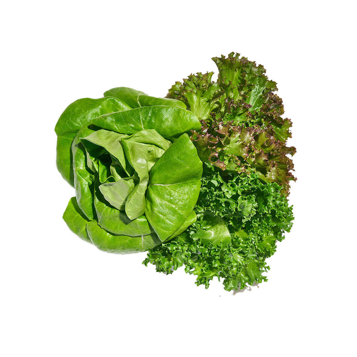 Gourmet Spring Mix