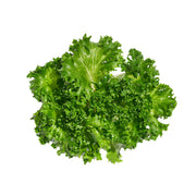 Crispy Green Leaf Lettuce