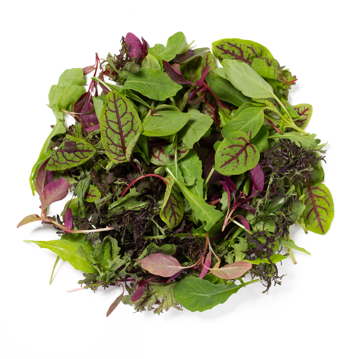 KinderGreens® Livi  KinderMix