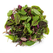 KinderGreens® Livi  KinderMix