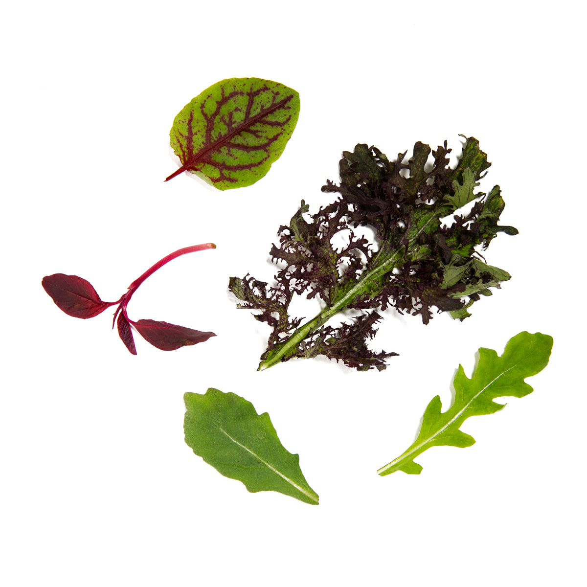 KinderGreens® Livi  KinderMix