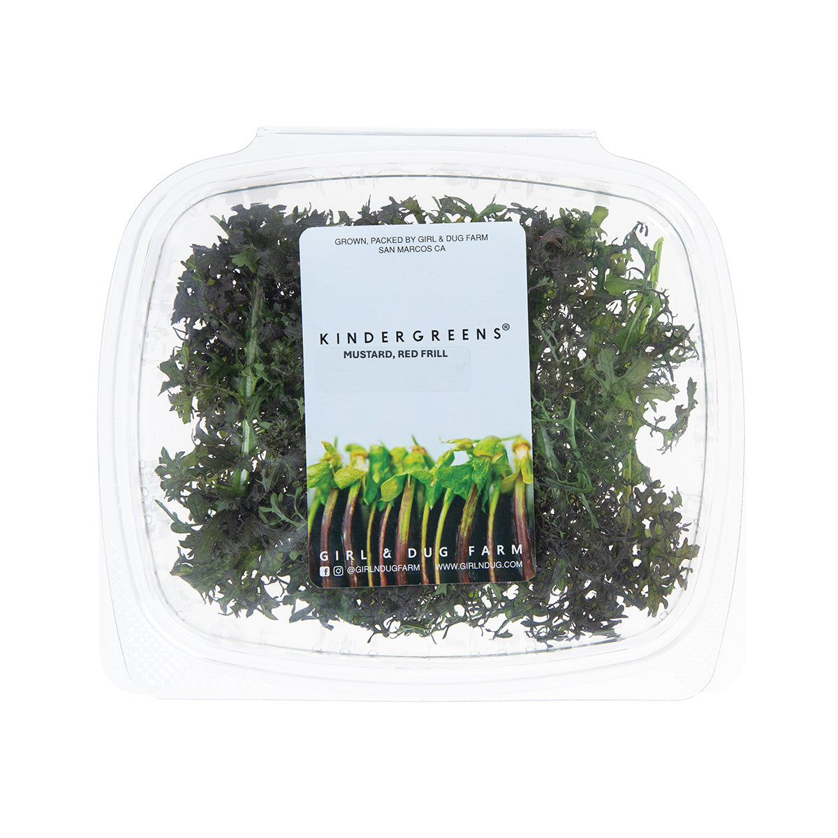 KinderGreens® Red Frill Mustard