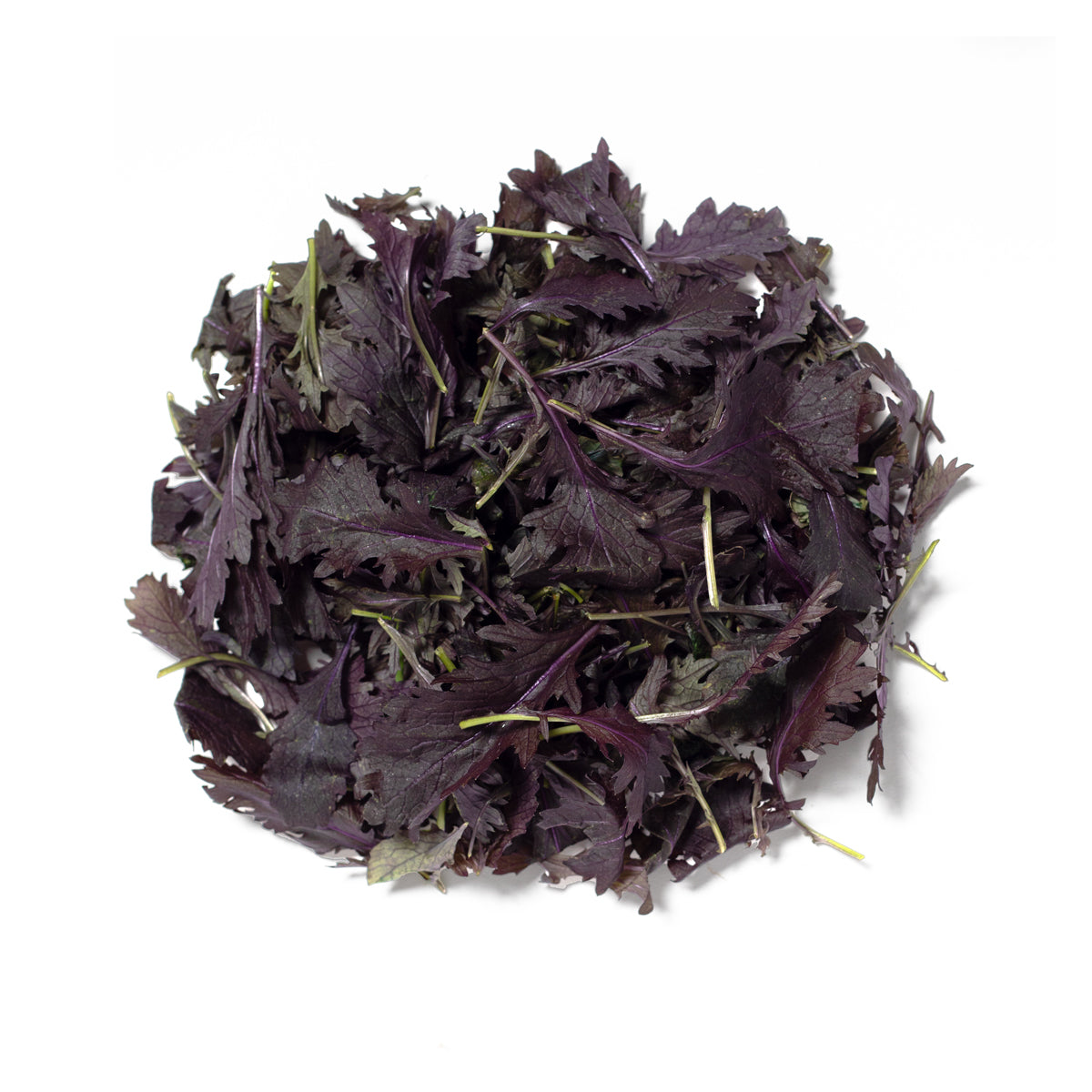 KinderGreens® Ruby Mustard