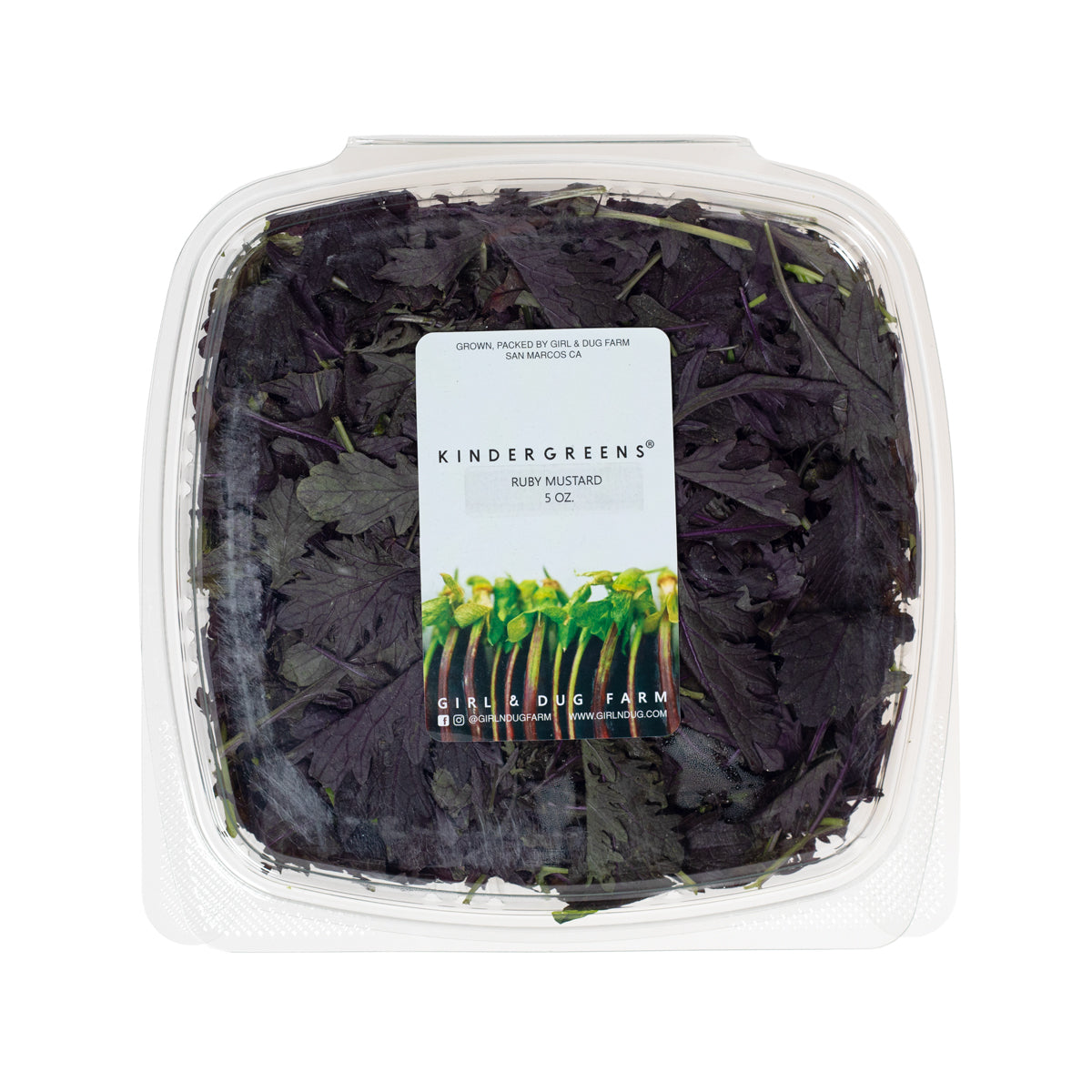 KinderGreens® Ruby Mustard