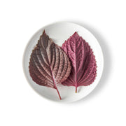 Red Shiso Leaves