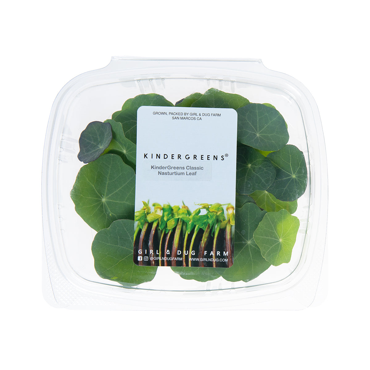 KinderGreens® Classic Nasturtium Leaf
