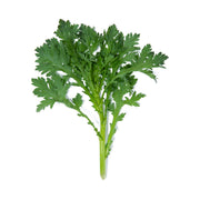 Chrysanthemum Leaf