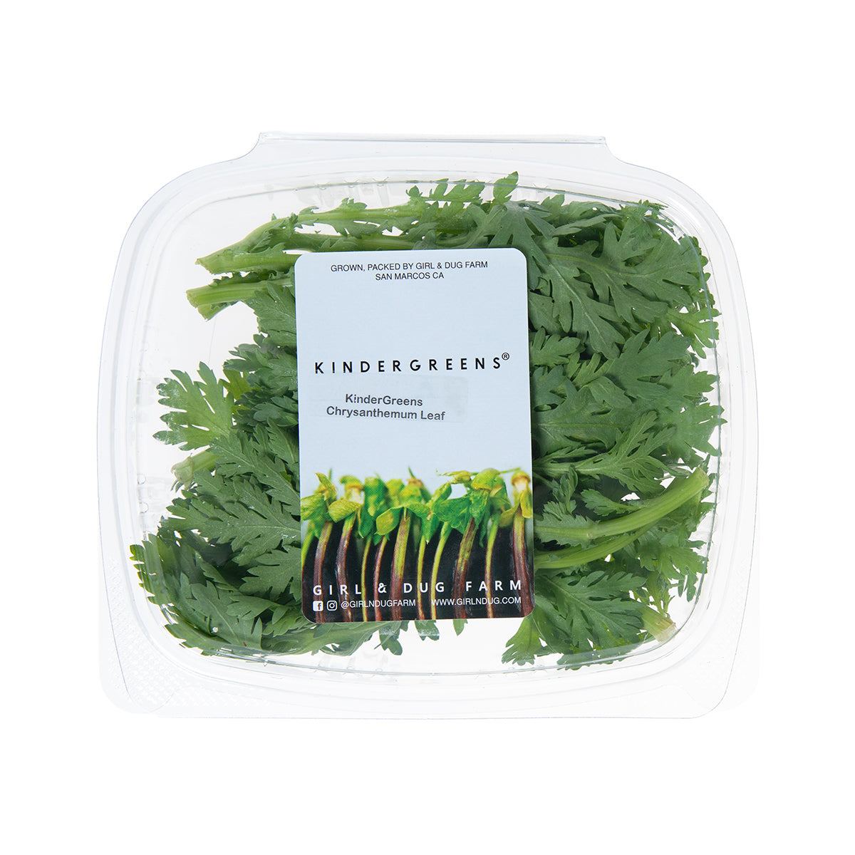 Chrysanthemum Leaf