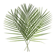 Decorative Tee Pee Leaves