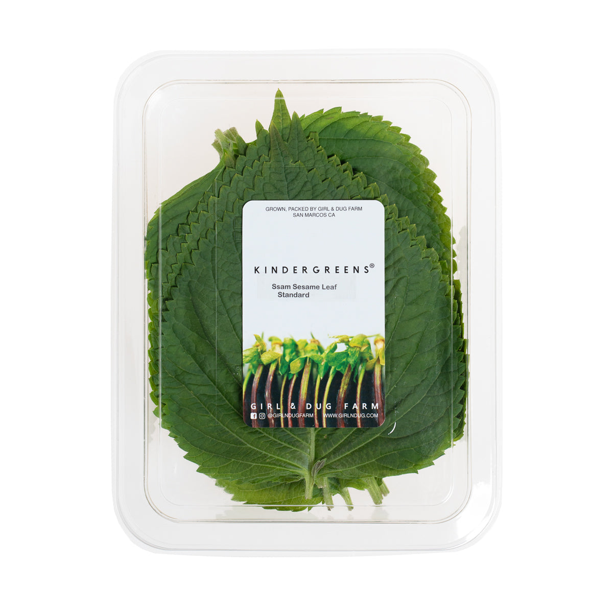 SSaM Sesame Leaf